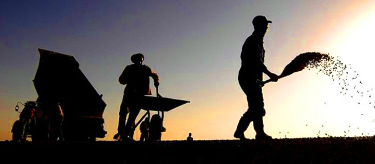 construction workers working on the job